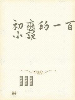 初恋的一百种甜小说封面