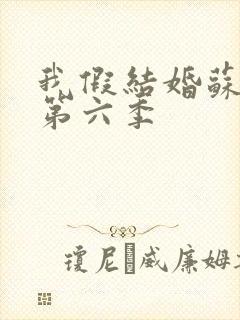 我假结婚苏清月第六季