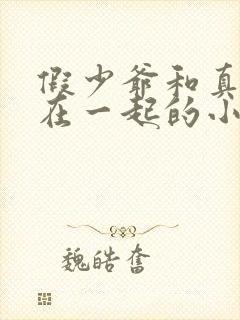 假少爷和真少爷在一起的小说封面