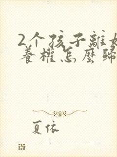 2个孩子离婚抚养权怎么归属