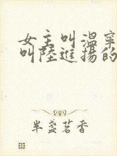 女主叫温宁男主叫陆进扬的小说