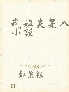 我姐夫是八阿哥小说