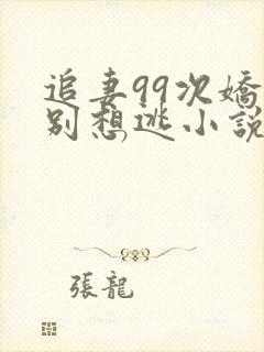 追妻99次娇妻别想逃小说封面