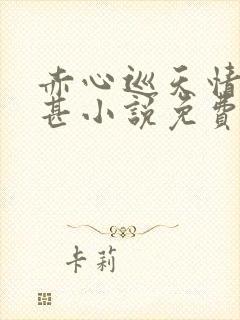 赤心巡天情何以甚小说免费无弹窗