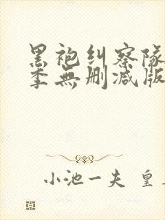 黑袍纠察队第三季无删减版封面