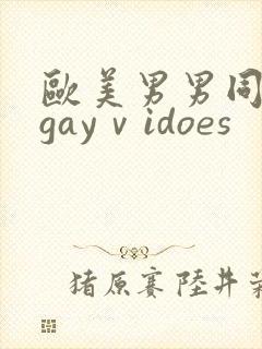 欧美男男同性恋gayⅴidoes
