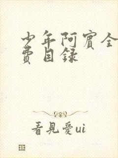 少年阿宾全文免费目录封面