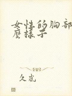 女性的胸部长什么样子