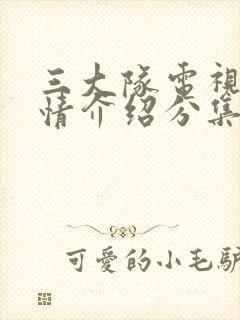 三大队电视剧剧情介绍分集