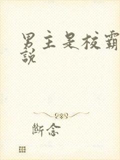 男主是校霸的小说封面