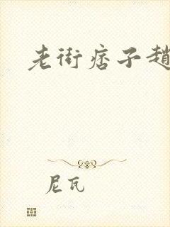 老街痞子赵凤声封面