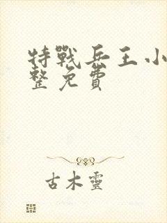 特战兵王小说完整免费