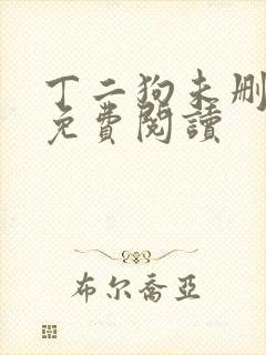 丁二狗未删减版免费阅读