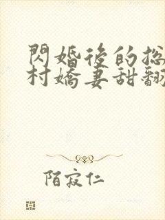 闪婚后的总裁农村娇妻甜翻了全集封面