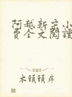 阿越新宋小说免费全文阅读封面