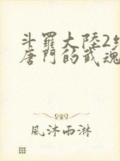 斗罗大陆2绝世唐门的武魂封面