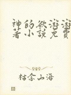 神的欲游游戏原著小说免费阅读