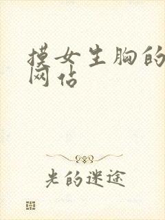 摸女生胸的视频网站