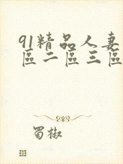 91精品人妻一区二区三区蜜桃2