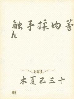 触手揉肉蒂高潮h