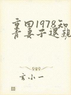 重回1978知青妻子退亲小说叫什么
