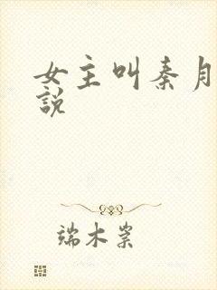 女主叫秦月的小说