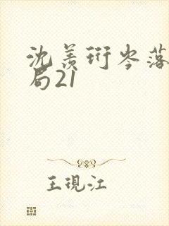 沈羡珩岑落大结局21