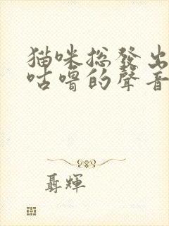 猫咪总发出咕噜咕噜的声音是为什么