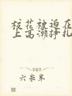 校花被迫在刑具上高潮挣扎视频