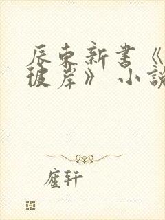 辰东新书《深空彼岸》 小说怎么样封面