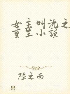 女主叫沈之念的重生小说