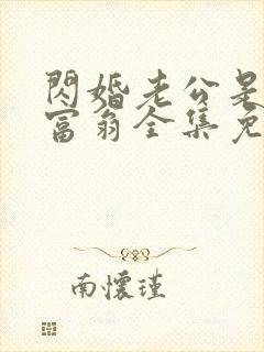 闪婚老公是亿万富翁全集免费