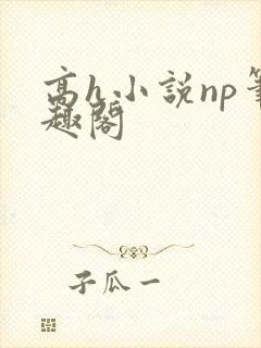 高h小说np笔趣阁