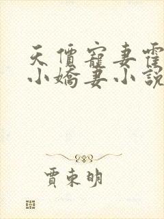 天价宠妻霍总的小娇妻小说全文免费阅读