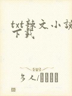 txt辣文小说下载