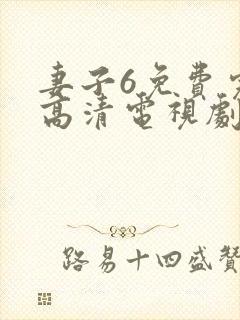 妻子6免费完整高清电视剧看