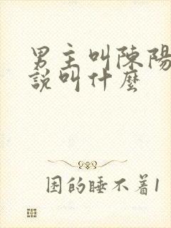 男主叫陈阳的小说叫什么