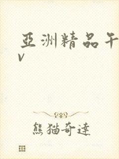 亚洲精品午夜av