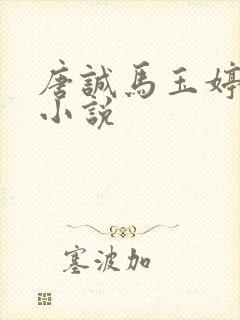 唐诚马玉婷免费小说封面