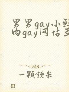 男男gay小鲜肉gay网站亚洲