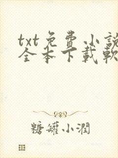 txt免费小说全本下载软件