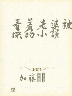 看着老婆被别人操的小说