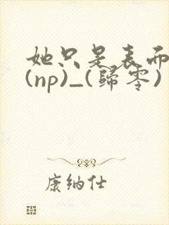 她只是表面清纯(np)_(归零)封面