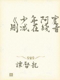 《少年阿宾》无删减在线看封面