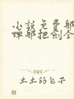 小说免费那年那蝉那把剑全文阅读