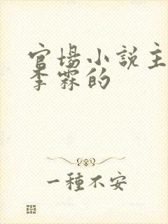 官场小说主角叫李霖的