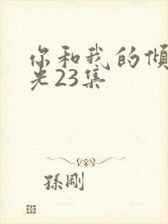 你和我的倾城时光23集