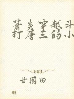 萧炎穿越斗罗吊打唐三的小说