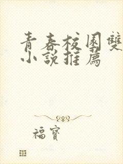 青春校园双男主小说推荐