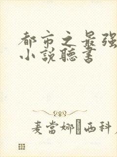 都市之最强狂兵小说听书